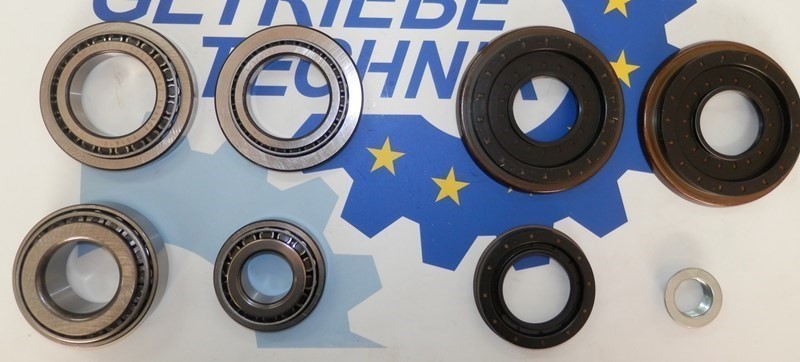 Getriebelagersatz Hinterachsgetriebe Mercedes Typ 215