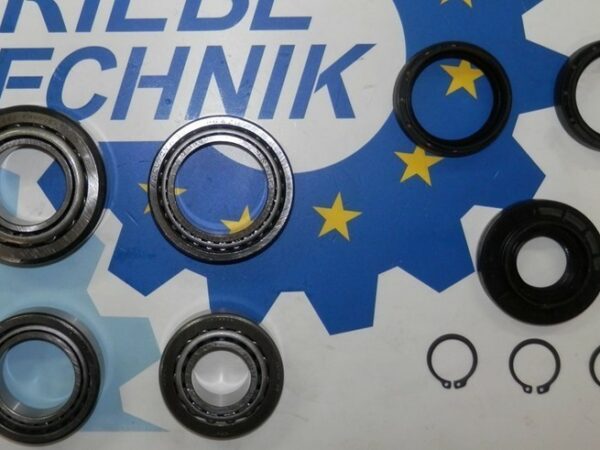 Getriebelagersatz Hinterachsgetriebe Audi/VW 0AR