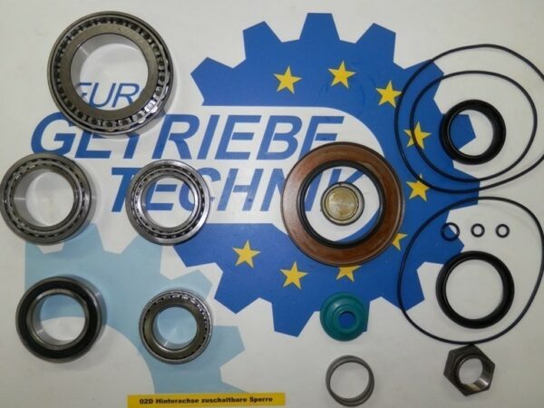 Getriebelagersatz Hinterachsgetriebe mit zuschaltbarer Sperre Syncro 02D